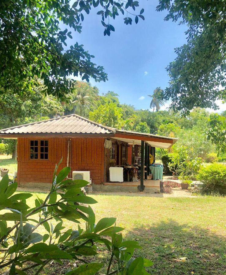 Amphoe Koksamui Lamai Chalet מראה חיצוני תמונה