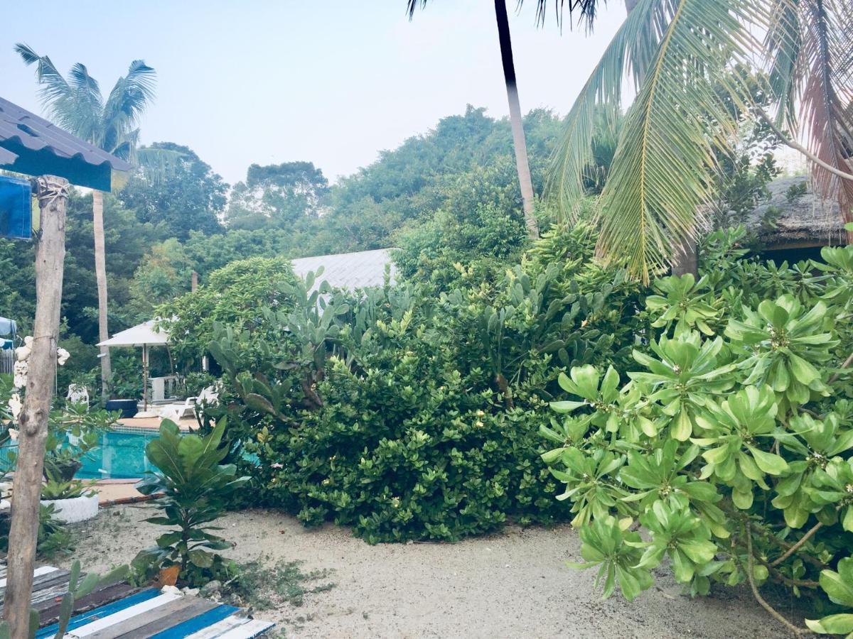 Amphoe Koksamui Lamai Chalet מראה חיצוני תמונה
